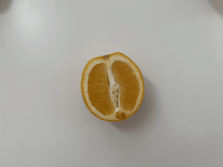 <b>Orange Cut in Half</b><br> Using my phone, I photographed the half-cut orange, revealing its internal structure and pulp texture. I chose this object because when cut, it displays a symmetrical structure and detailed pulp texture.
